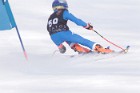 MAT_5460