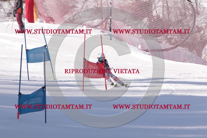MAT_5898.JPG