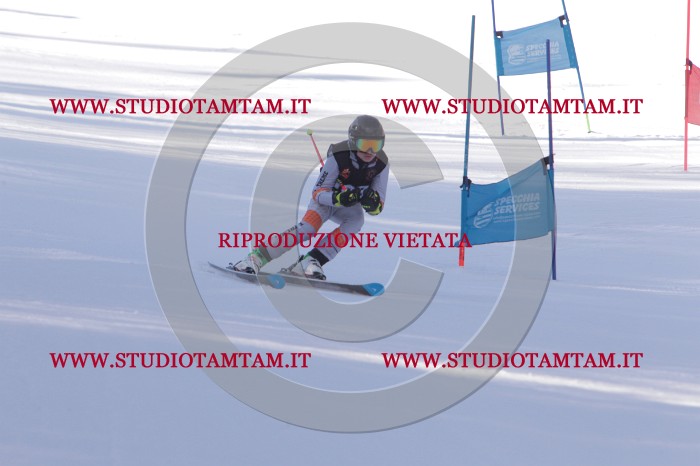 MAT_5913.JPG