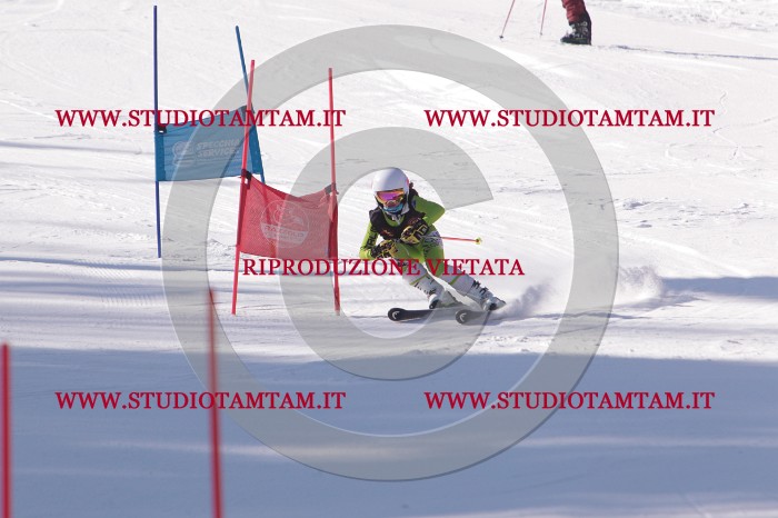 MAT_6013.JPG