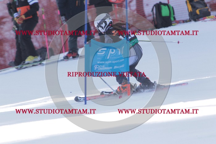 MAT_6046.JPG