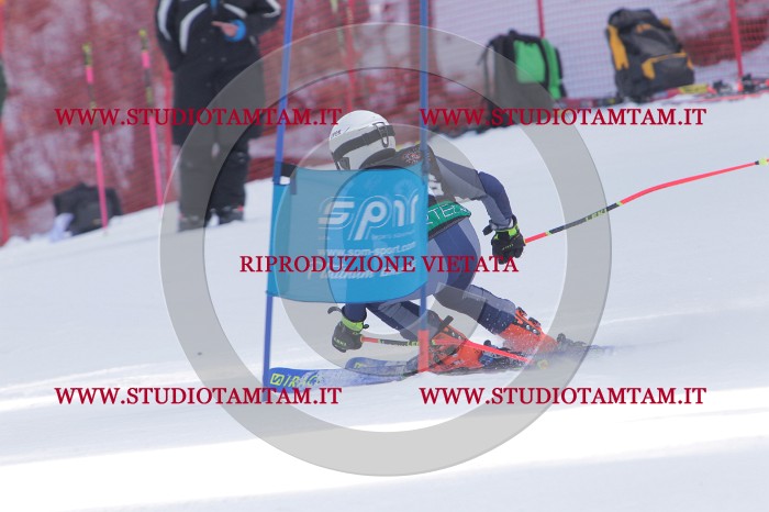 MAT_6084.JPG