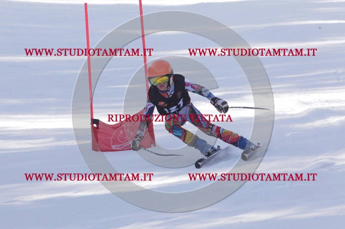 MAT_6091.JPG
