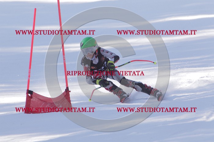 MAT_6178.JPG