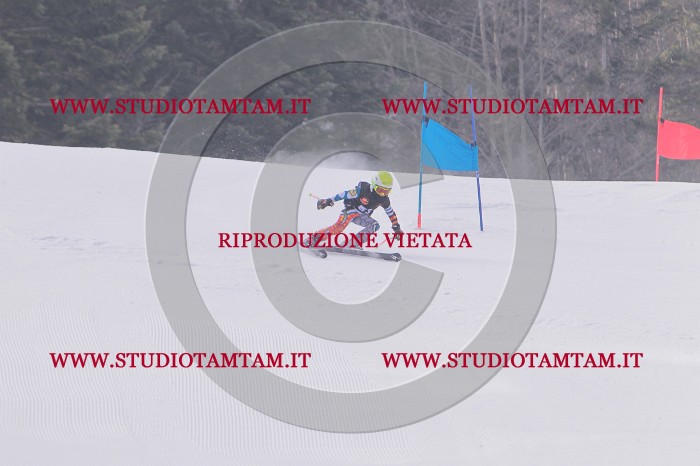 MAT_5469.JPG