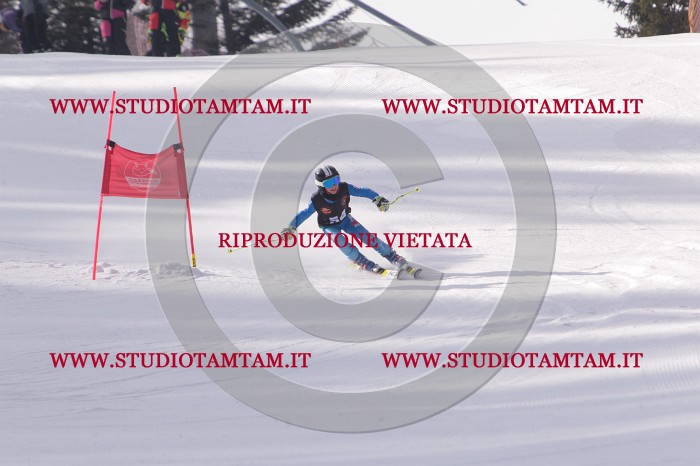 MAT_5477.JPG