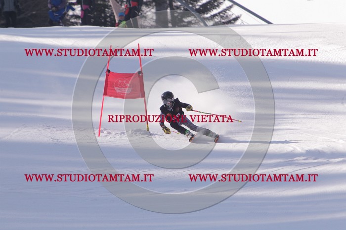 MAT_5509.JPG
