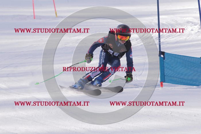 MAT_5521.JPG