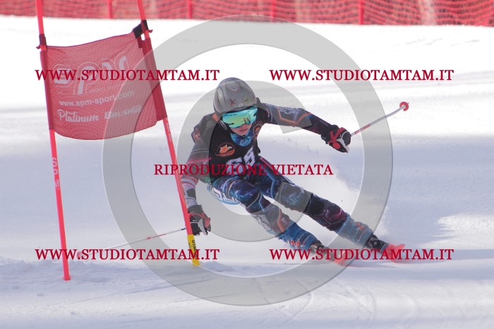 MAT_5560.JPG