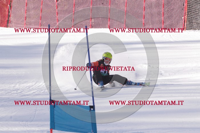 MAT_5575.JPG