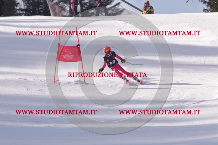 MAT_5587.JPG