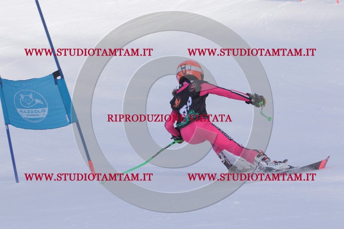 MAT_5593.JPG