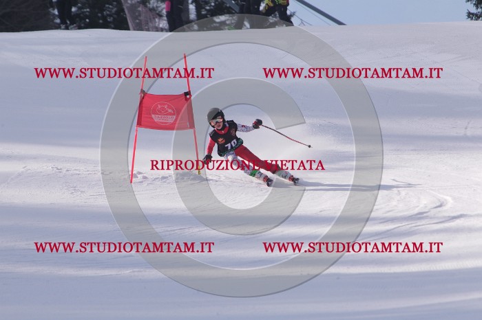 MAT_5596.JPG