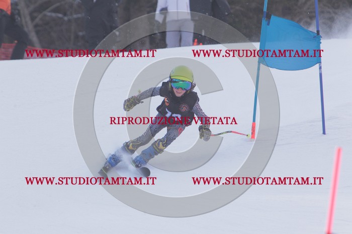 MAT_5615.JPG