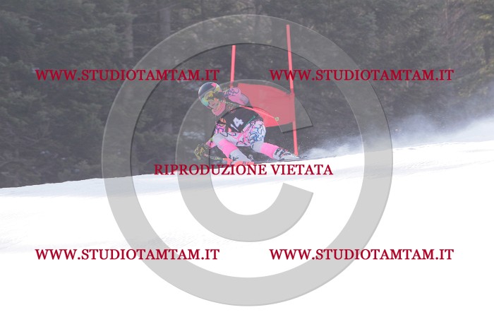MAT_5618.JPG