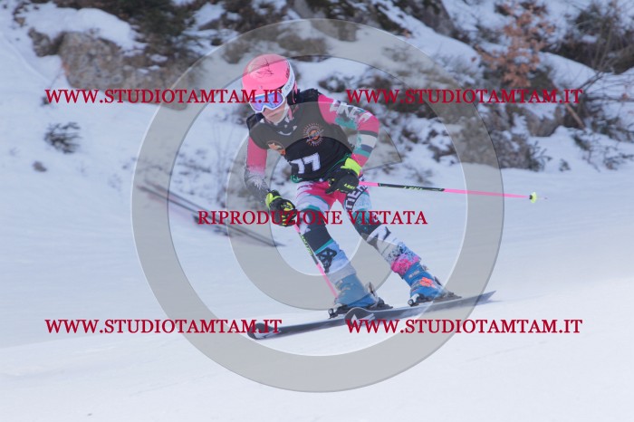 MAT_5631.JPG