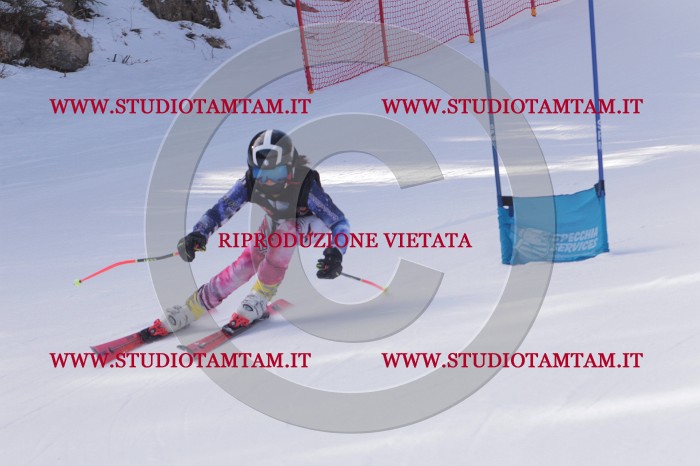 MAT_5648.JPG