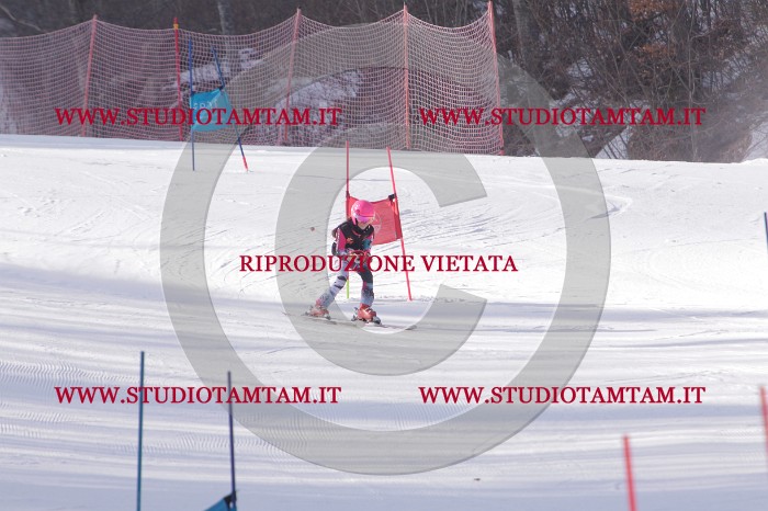 MAT_5670.JPG