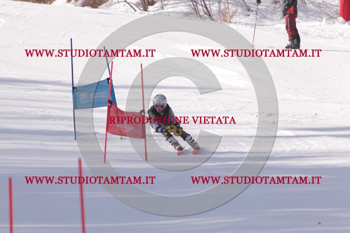 MAT_5695.JPG
