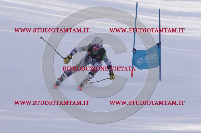 MAT_5698.JPG