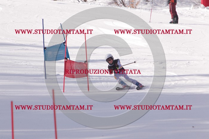 MAT_5714.JPG