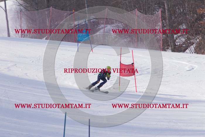 MAT_5731.JPG