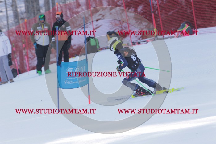 MAT_5740.JPG