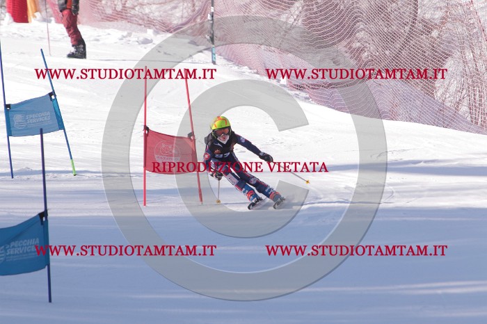 MAT_5769.JPG