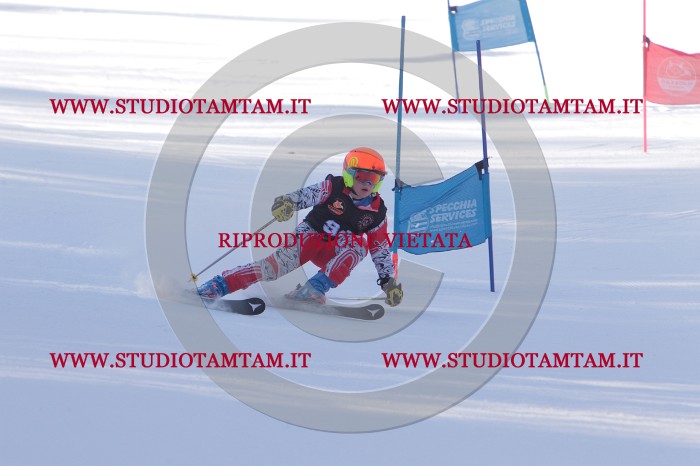MAT_5779.JPG
