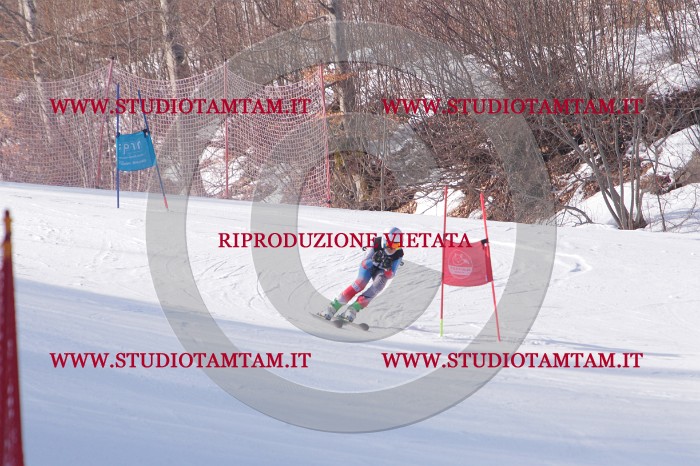 MAT_5787.JPG