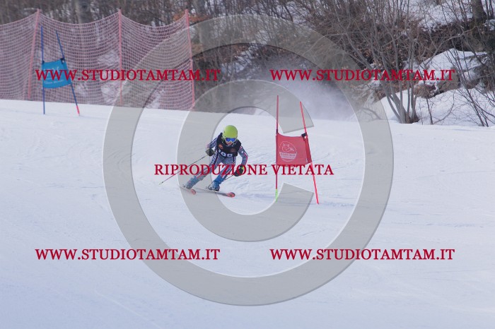 MAT_5833.JPG