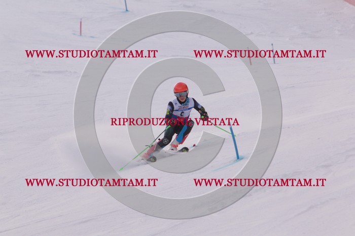 MAT_3404.JPG