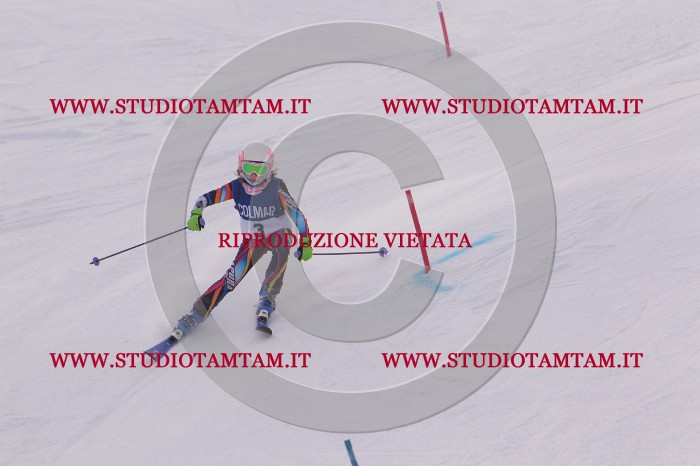 MAT_3436.JPG