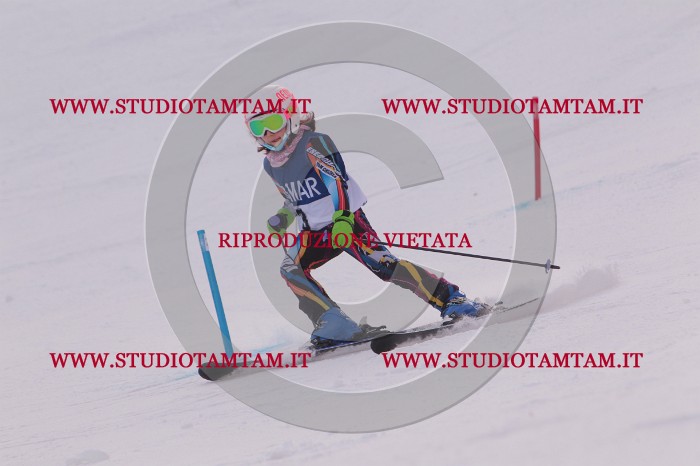 MAT_3439.JPG