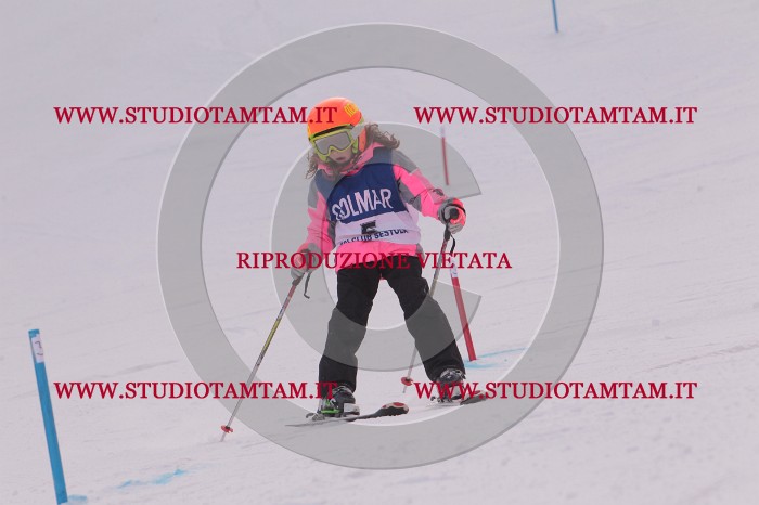 MAT_3465.JPG