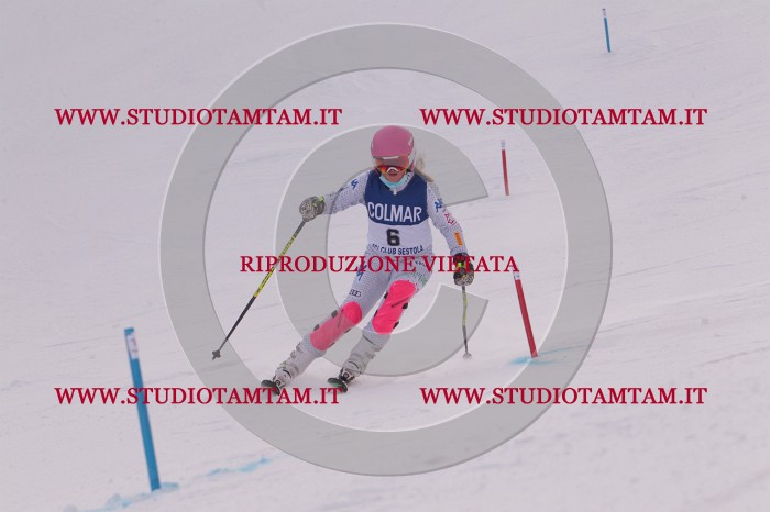 MAT_3477.JPG