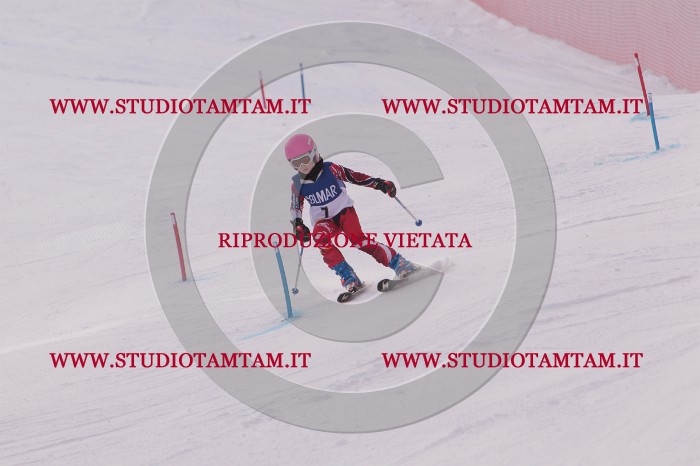 MAT_3483.JPG
