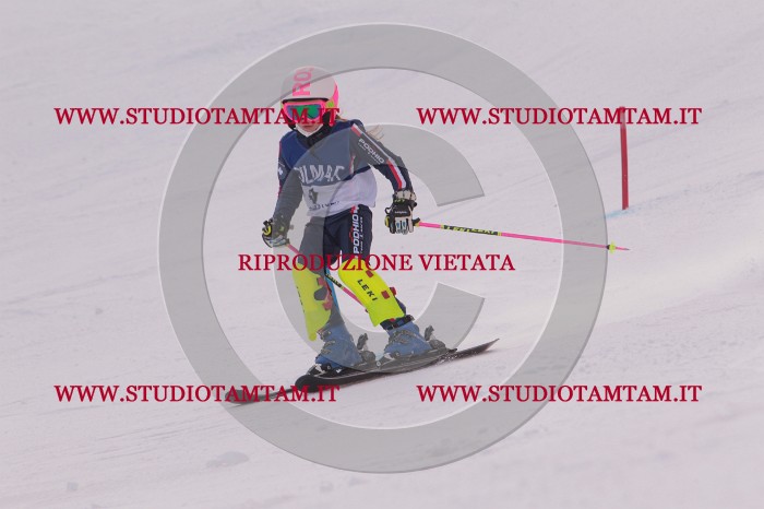 MAT_3523.JPG
