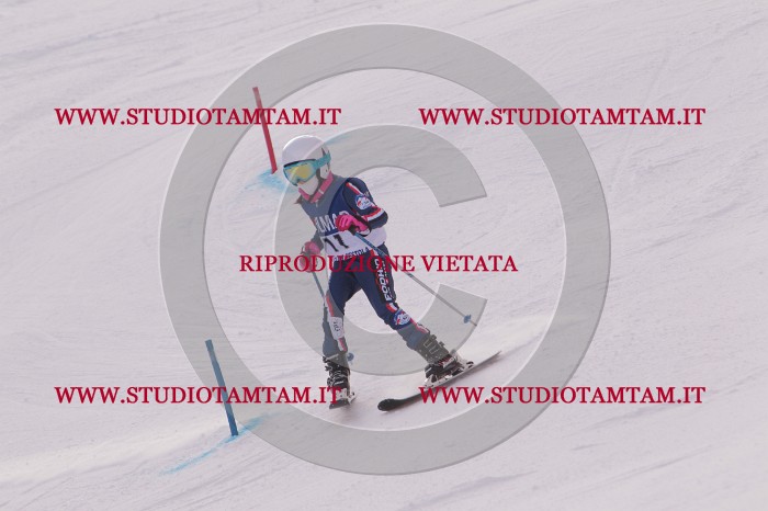 MAT_3546.JPG