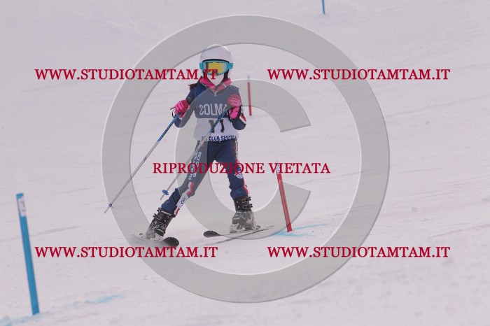 MAT_3549.JPG