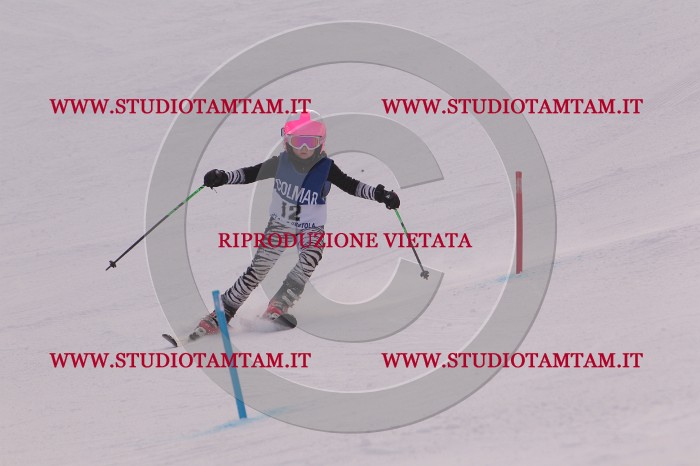 MAT_3559.JPG