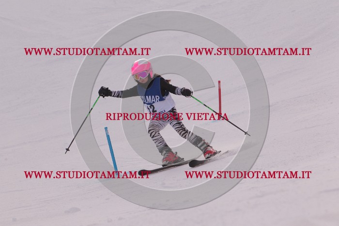MAT_3560.JPG