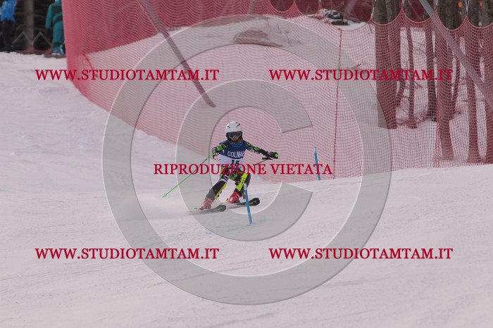 MAT_3581.JPG