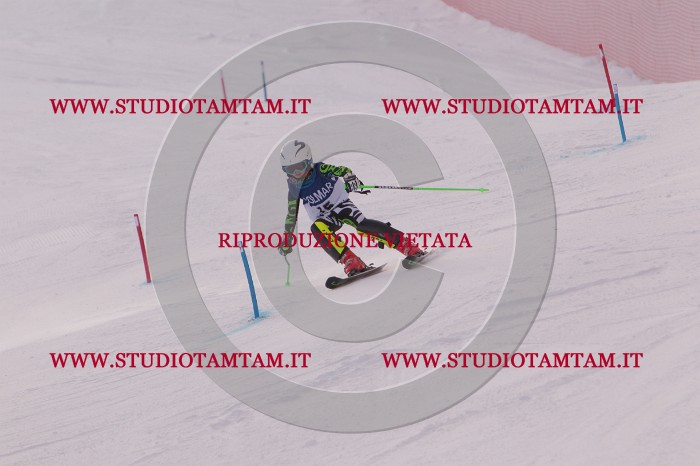 MAT_3584.JPG
