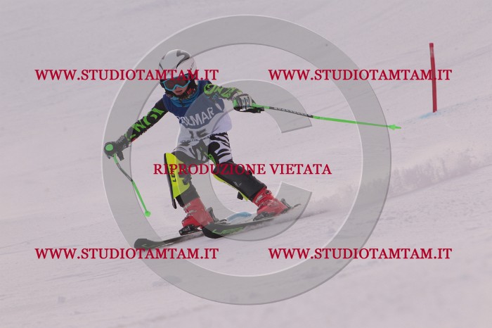 MAT_3592.JPG