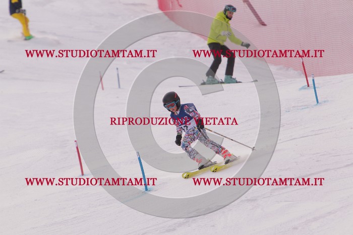 MAT_3615.JPG