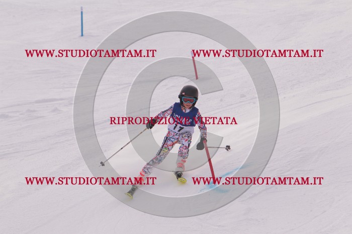 MAT_3617.JPG