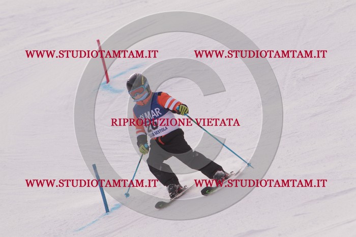 MAT_3657.JPG