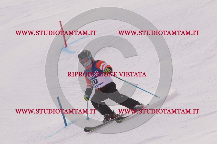 MAT_3658.JPG