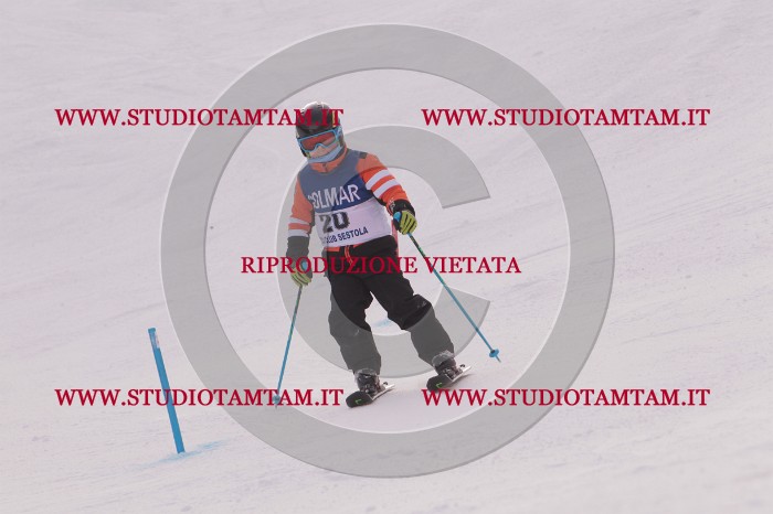 MAT_3660.JPG